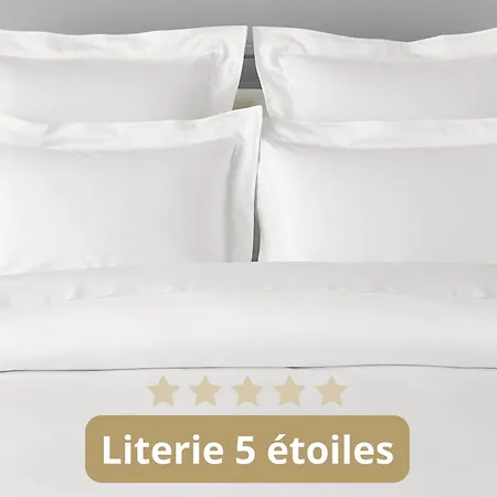 Hotel Du Theatre